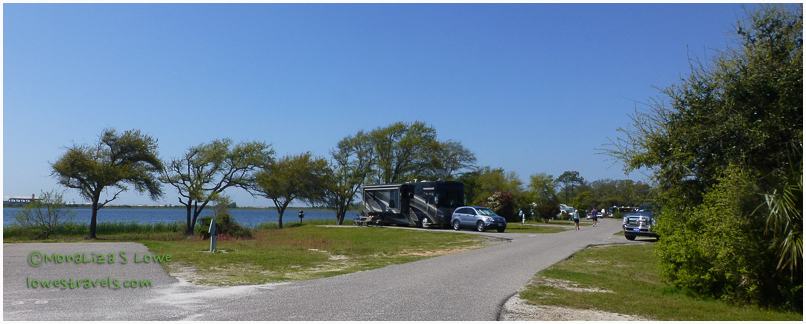 Live Oak Road, Gulf State Park, 