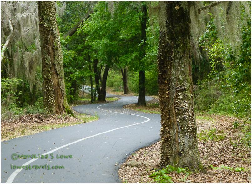 Gulf Oak Ridge Trail, Hugh S Branyon Trails