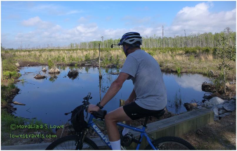 Catman Road Trail, Hugh S Branyon Backcountry Trail