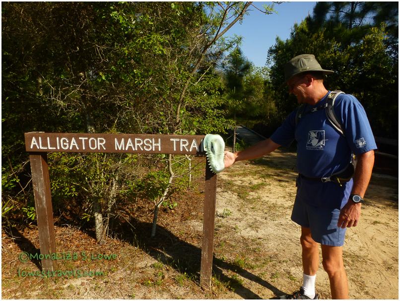 Alligator Marsh Trail, Gulf State Park