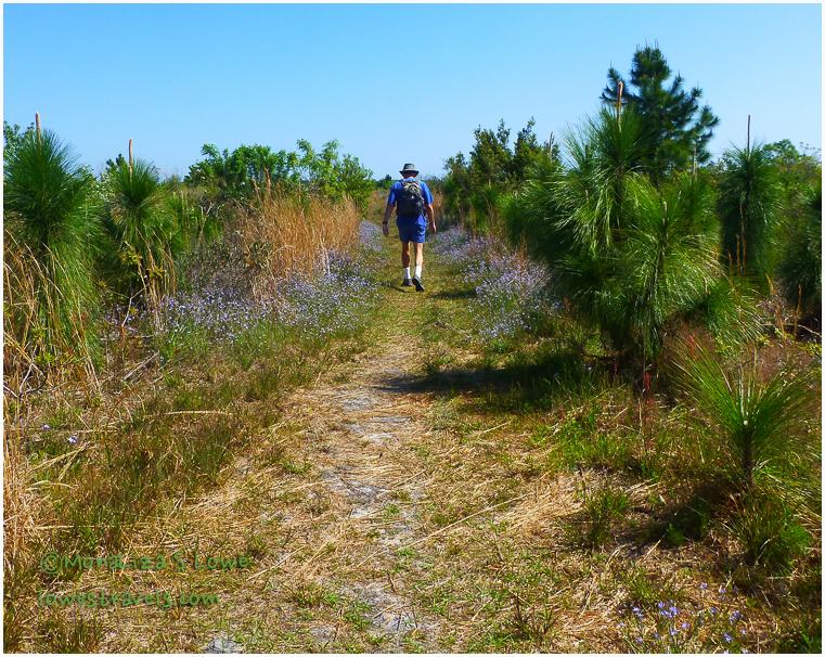 Bear Creek Trail, Gulf State Park