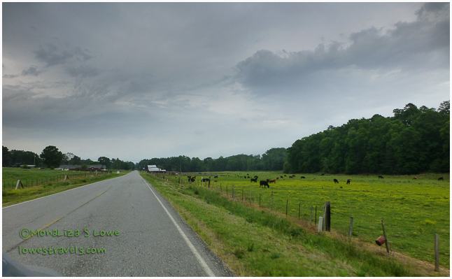 Lookout Mountain Parkway