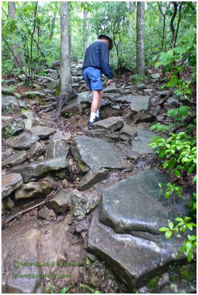Trail at Marthas Falls