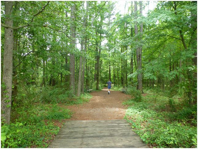 James D Martin Wildlife Park