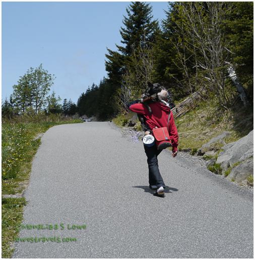 Clingmans Dome Trail