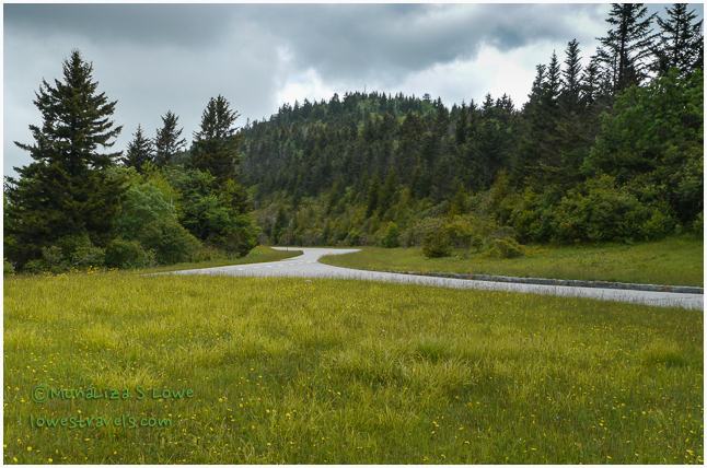 Richard Balsam mountain