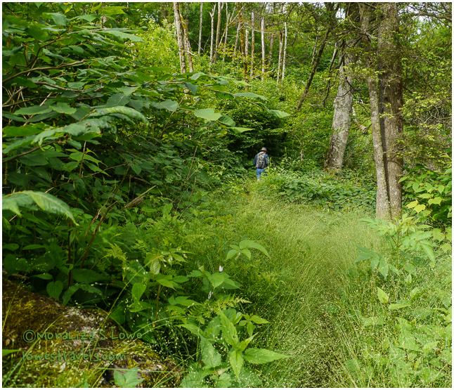 Frying Pan Tower Trail