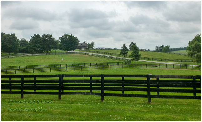 Winstar Farms, Bluegrass Region, KY
