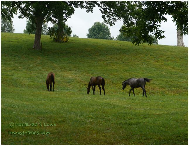 Bluegrass Driving Tour