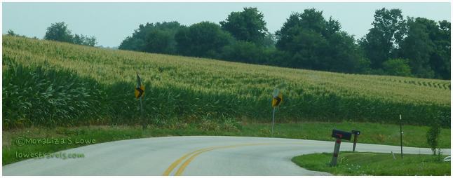 Corn Farms