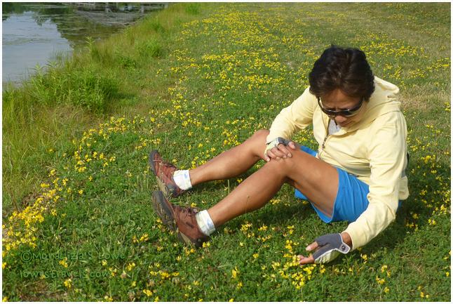 Catching up a Chiggers