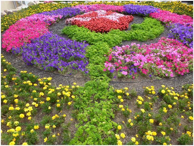 Beauty and the Beast Rose Quilt Garden, Elkhart