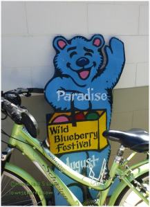 Wild blueberry festival