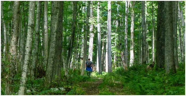 Sand Point, Norh Country Trail