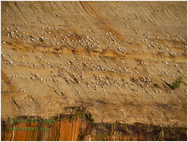 Gull Rockery, Pictured Rocks