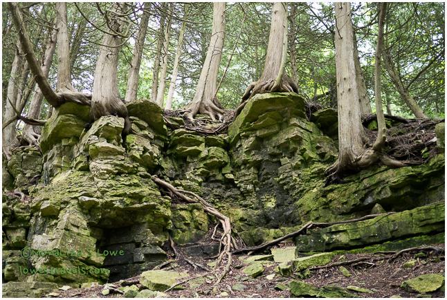 Door Bluffs Headlands