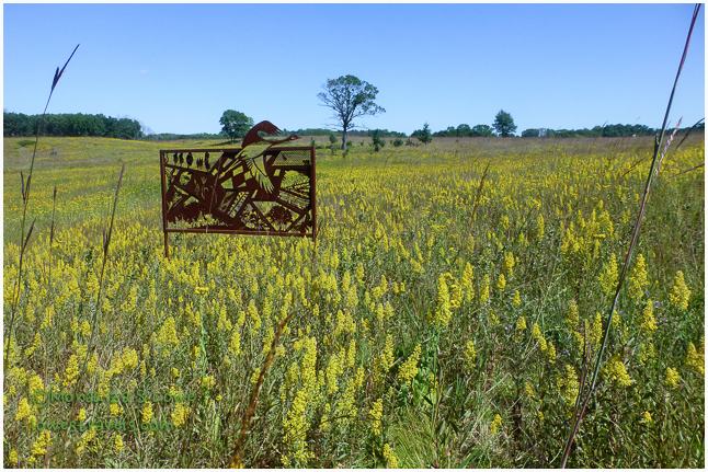 Nature Trails at ICF