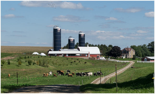 Joe and Deb Brant Farms