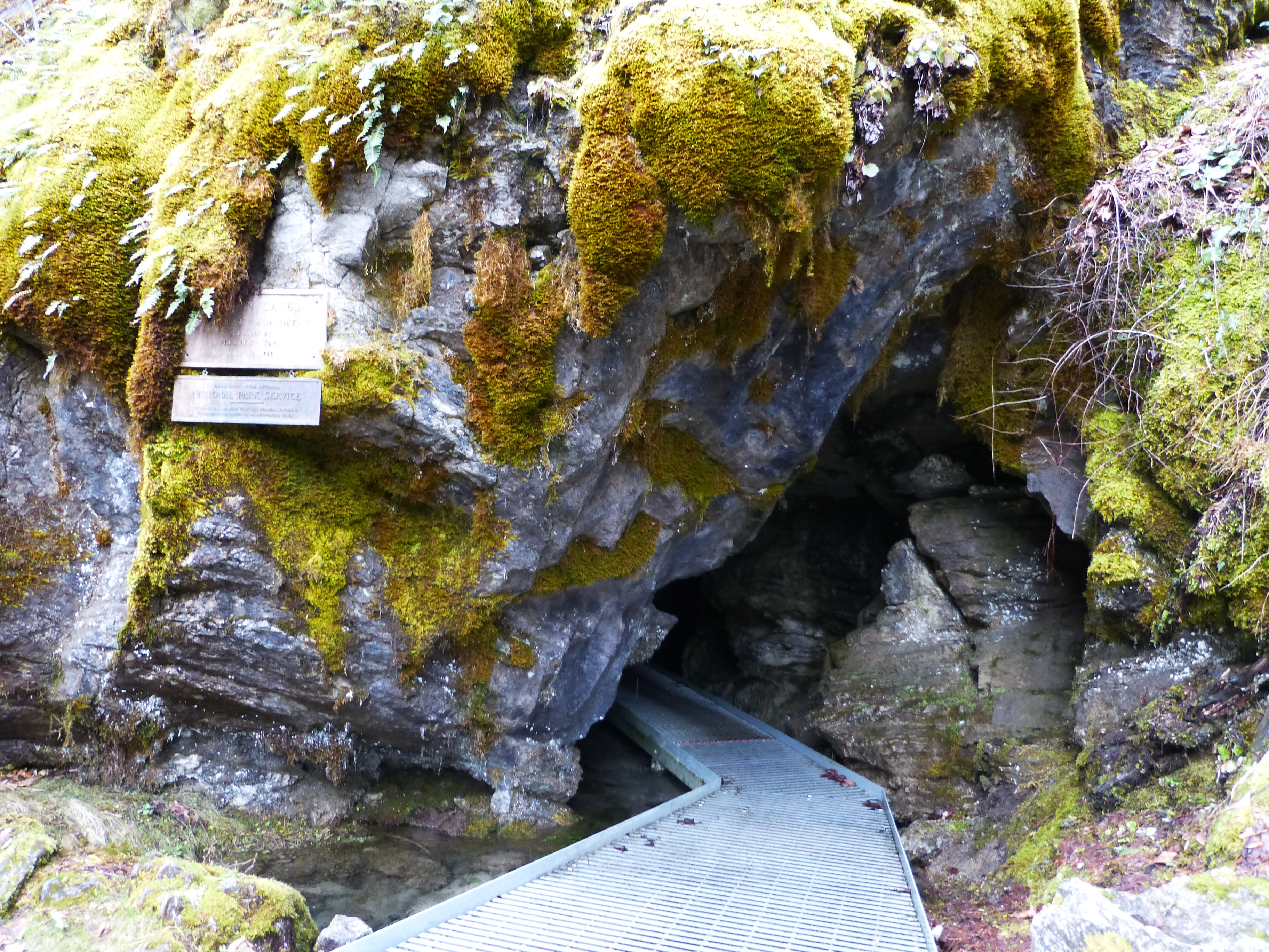 A metal walkway leads into a moss-covered cave entrance, surrounded by rocky terrain and ferns. A wooden plaque is mounted on the rock near the opening.