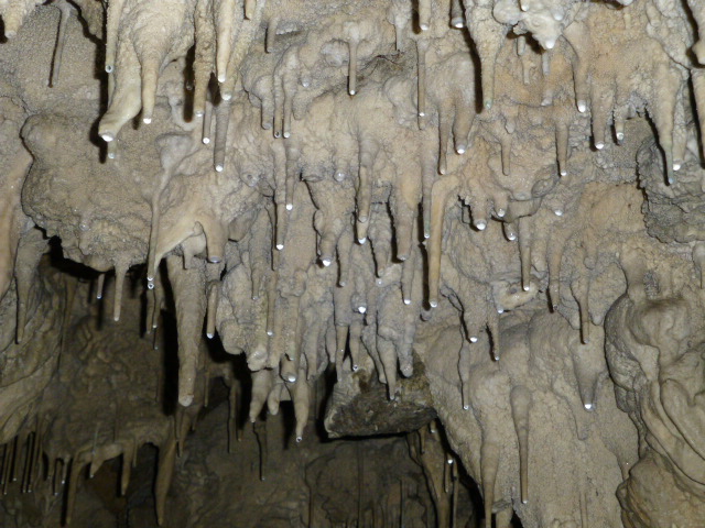 Close-up view of stalactites in a cave, with water droplets forming at the tips.
