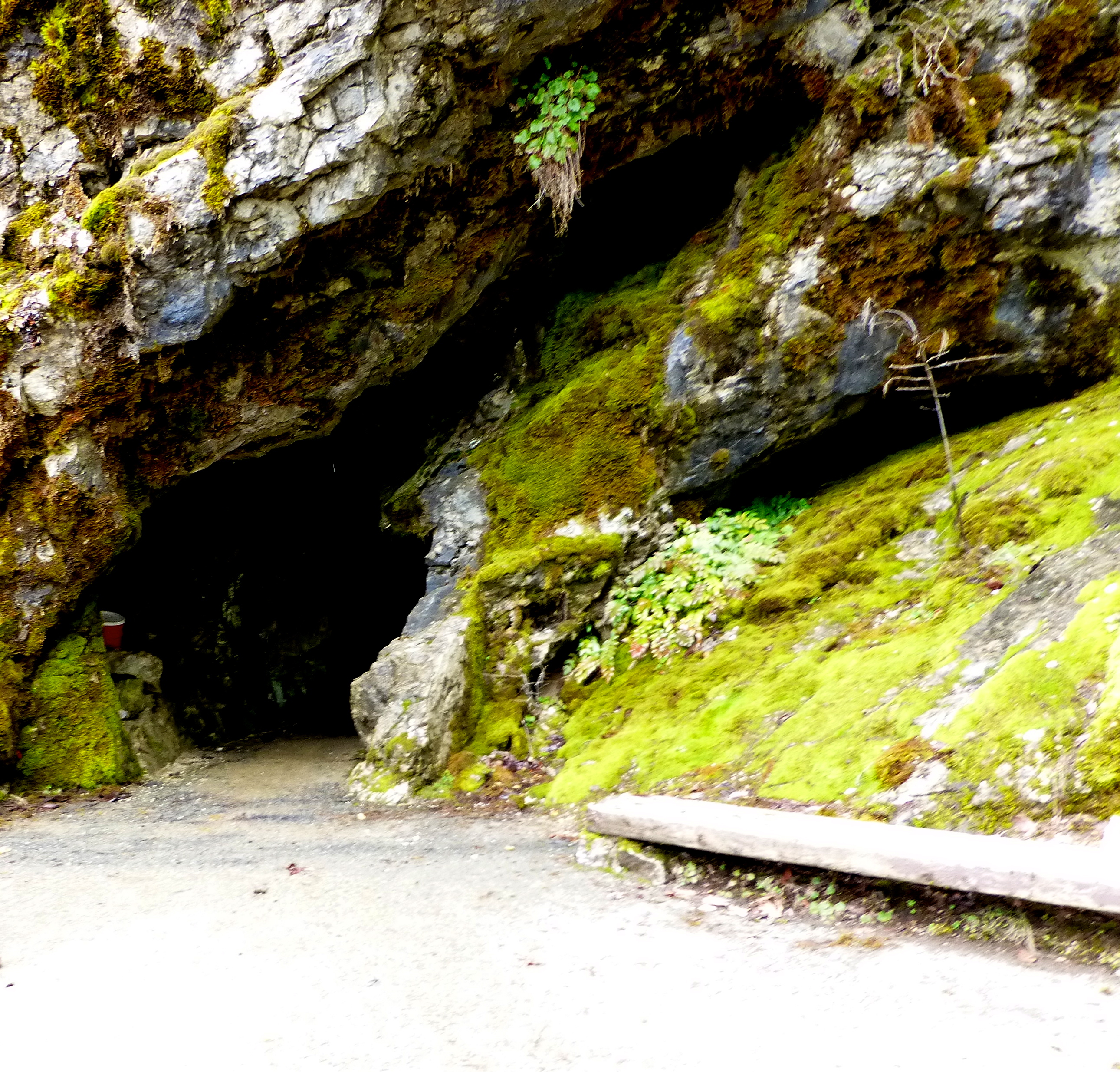 A moss-covered rock formation with an entrance to a cave, surrounded by greenery and a dirt path.