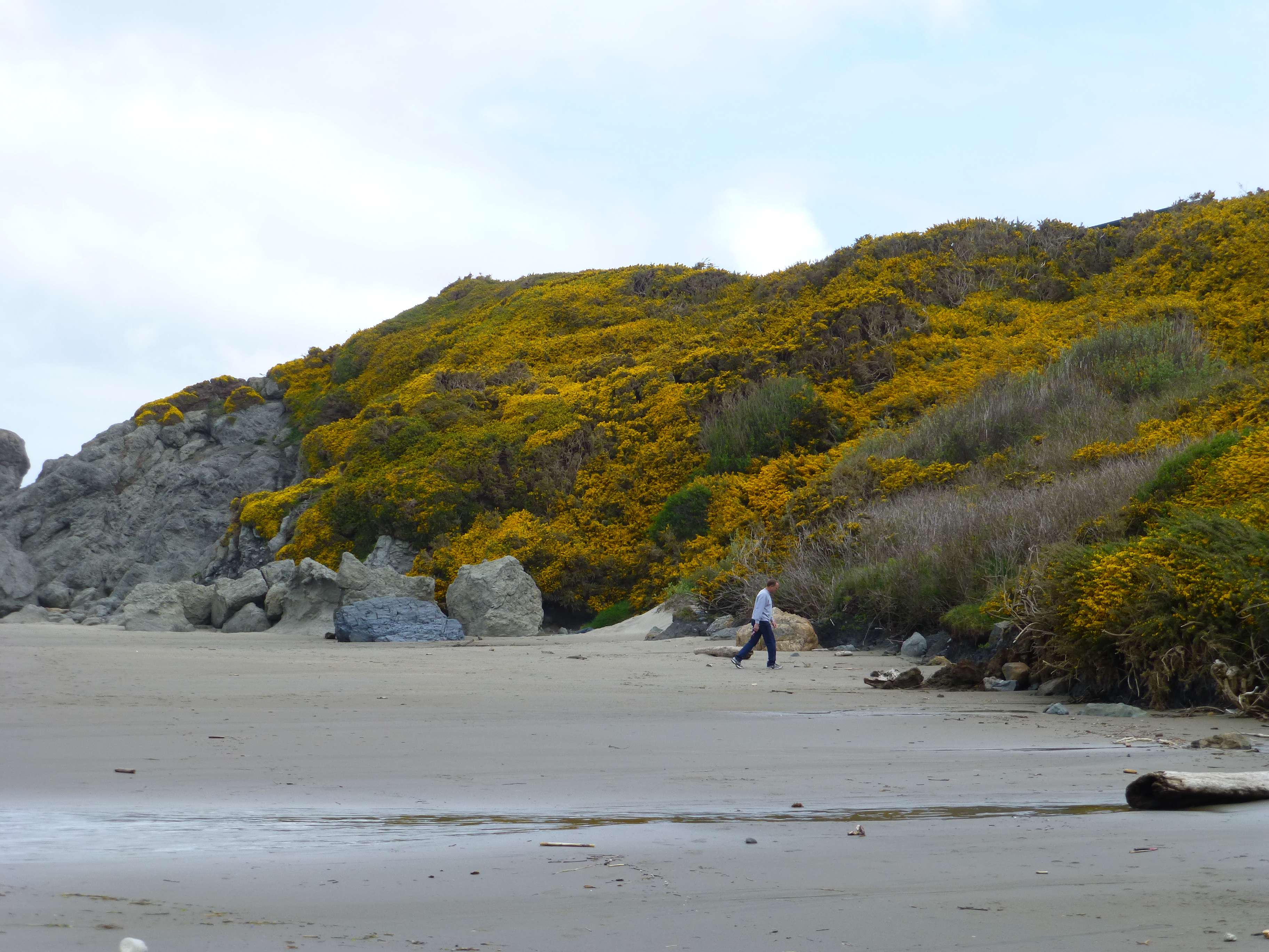 Bandon Beach