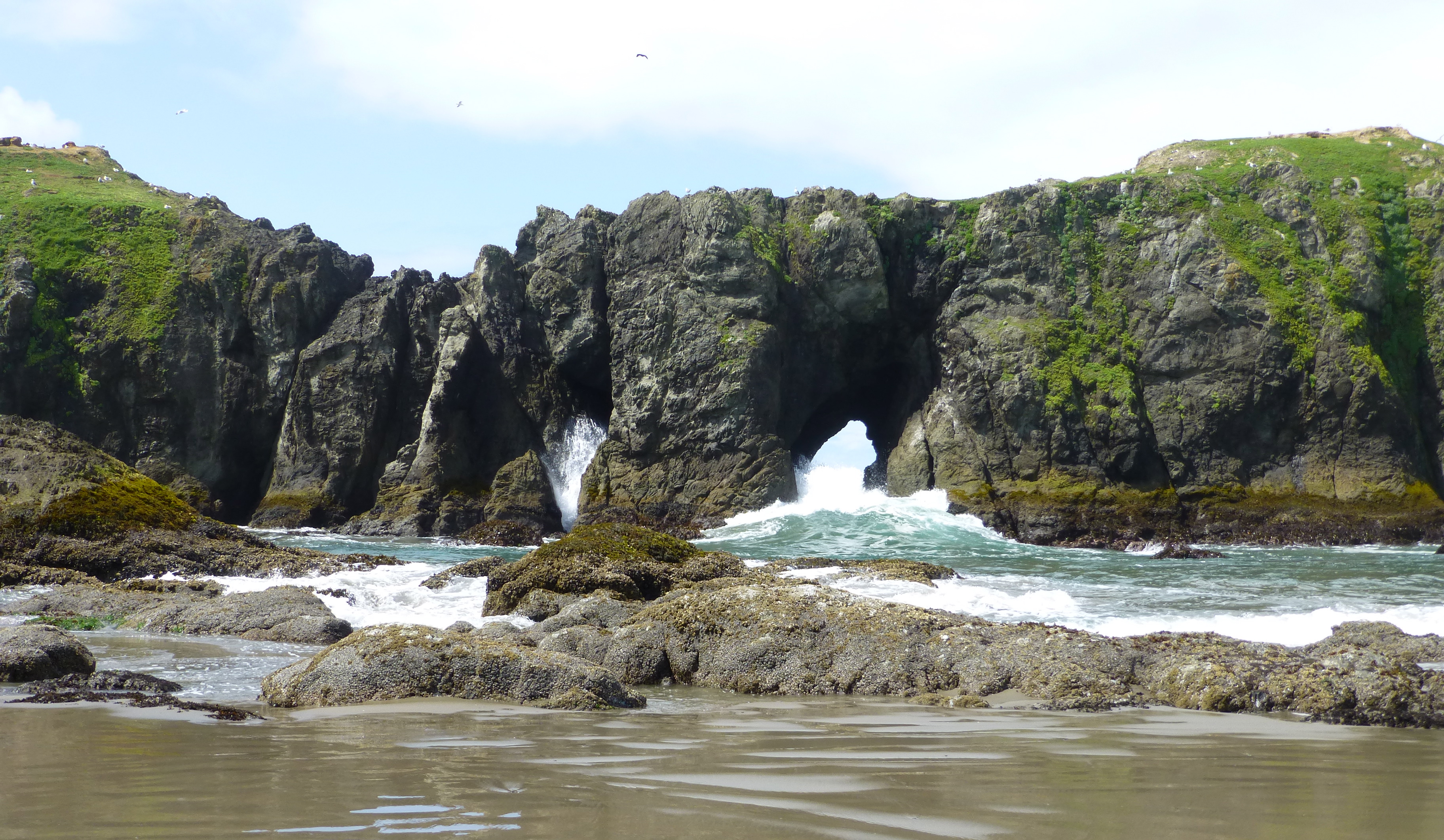 Rocky coastline with a natural arch, featuring waves crashing against the rocks and lush green hills in the background.