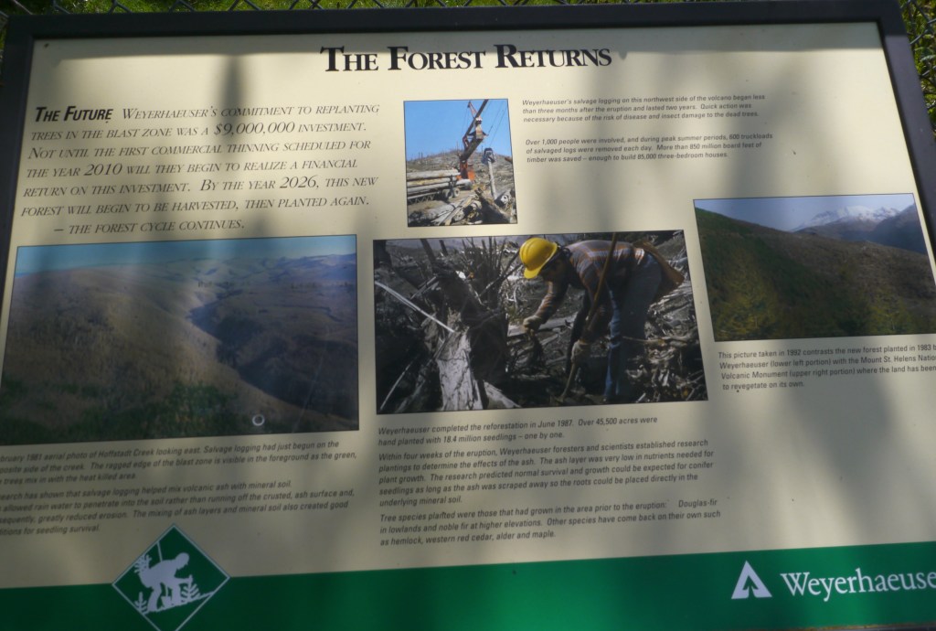 Story of regenerating the forest