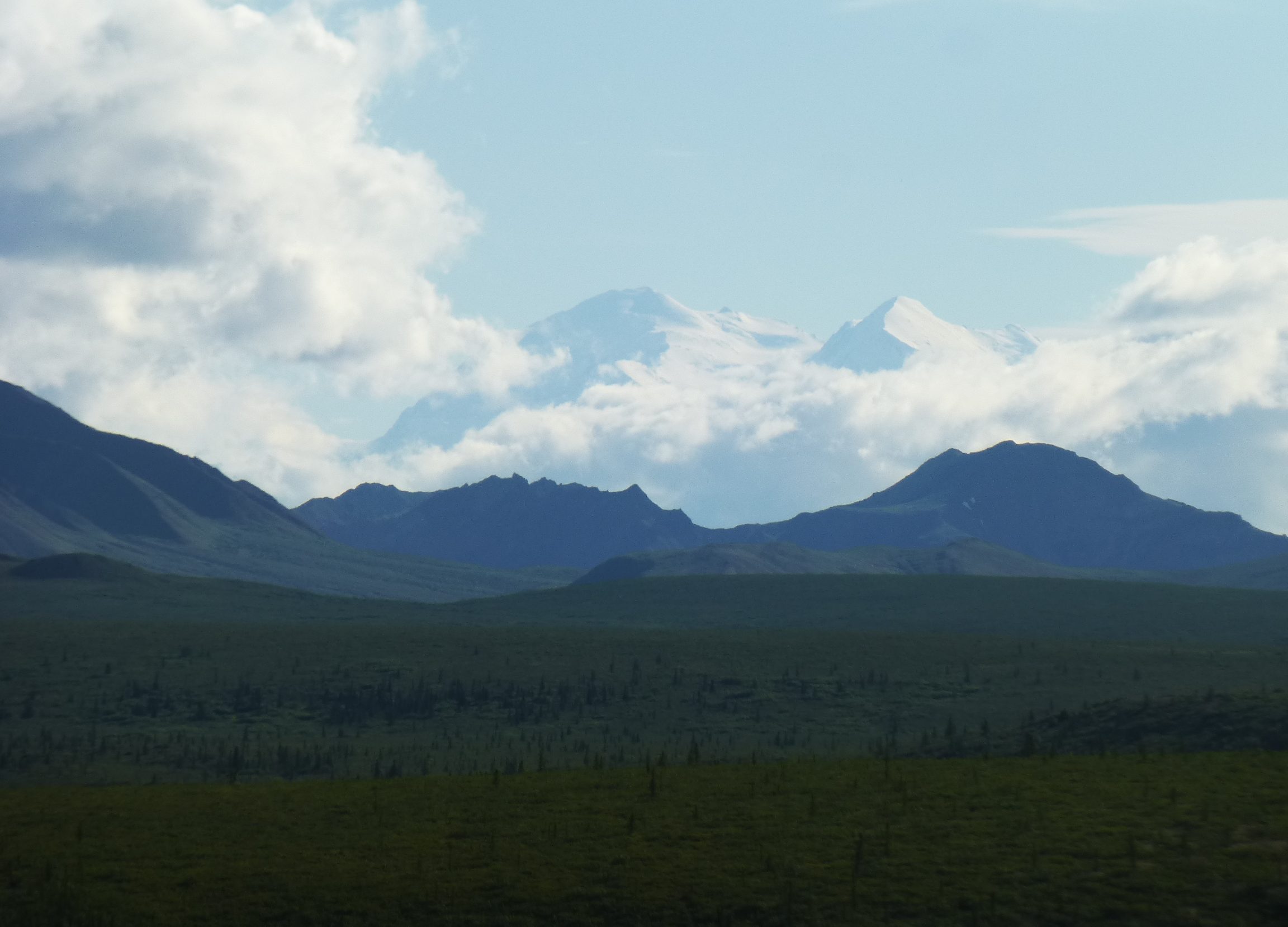 Mt Denali