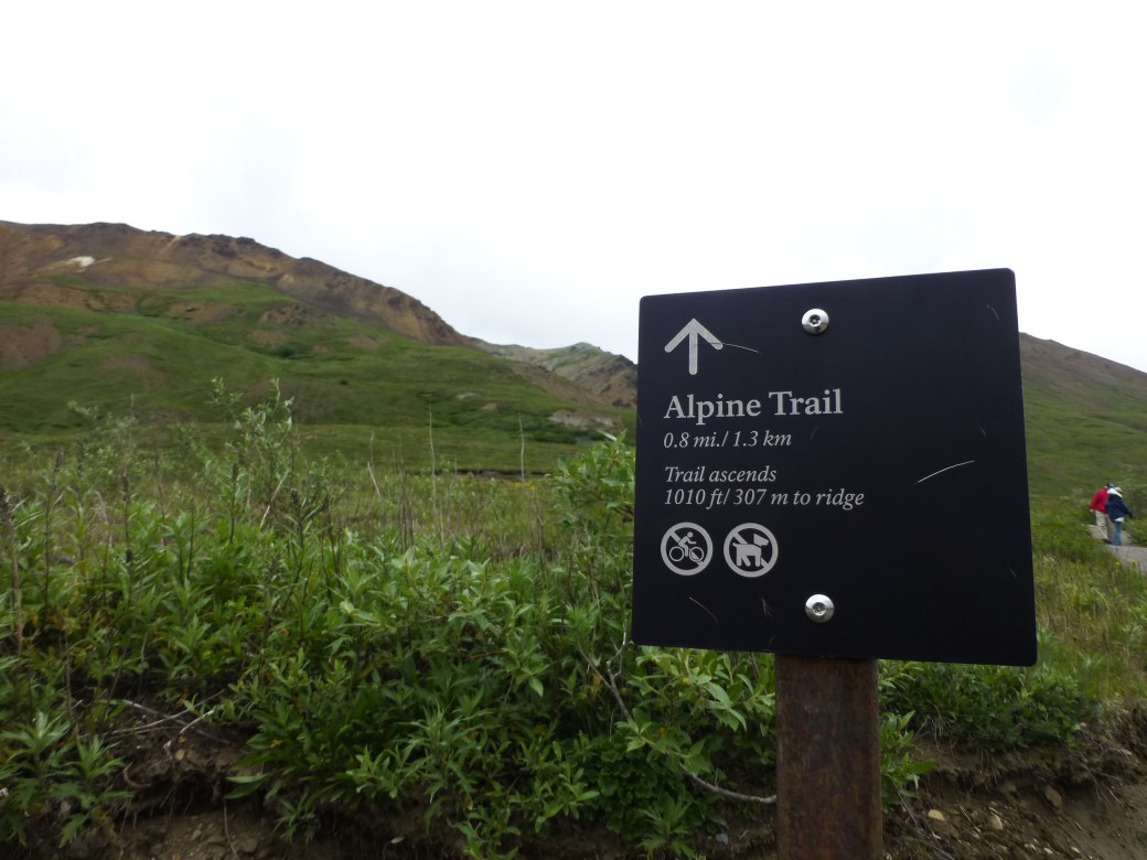 Denali National Park