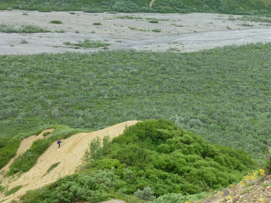 Denali National Park