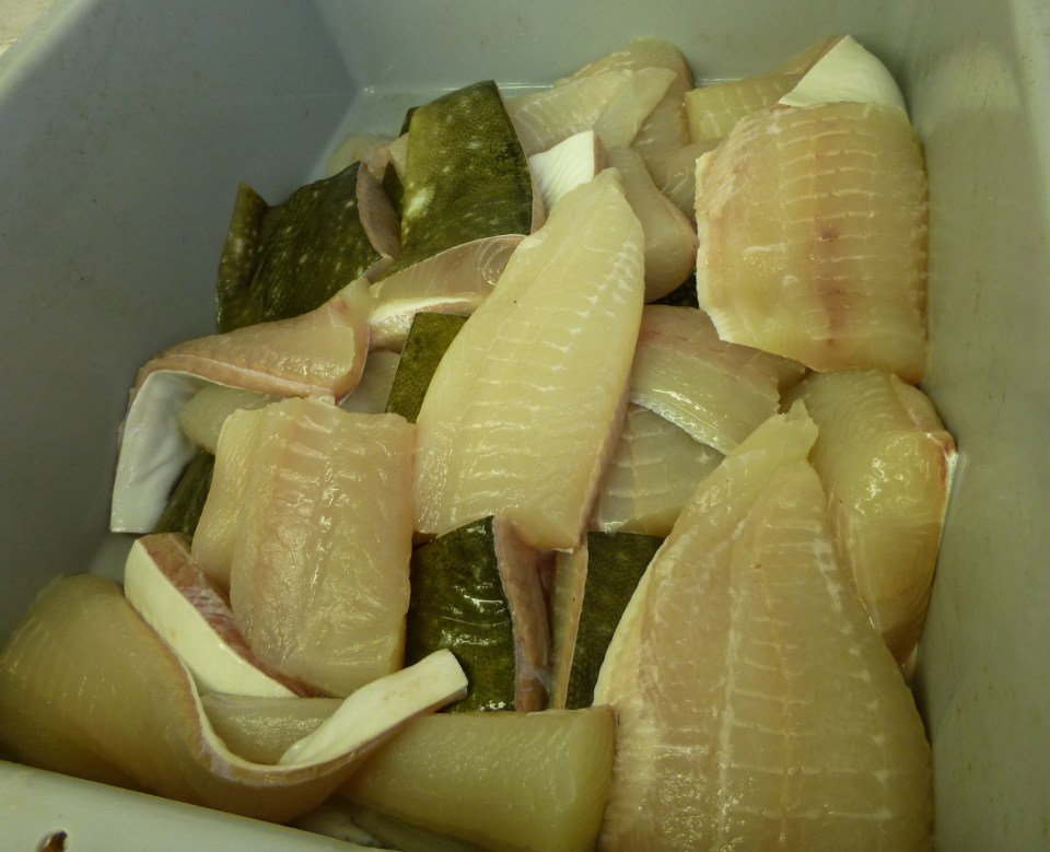 Halibut Fillets