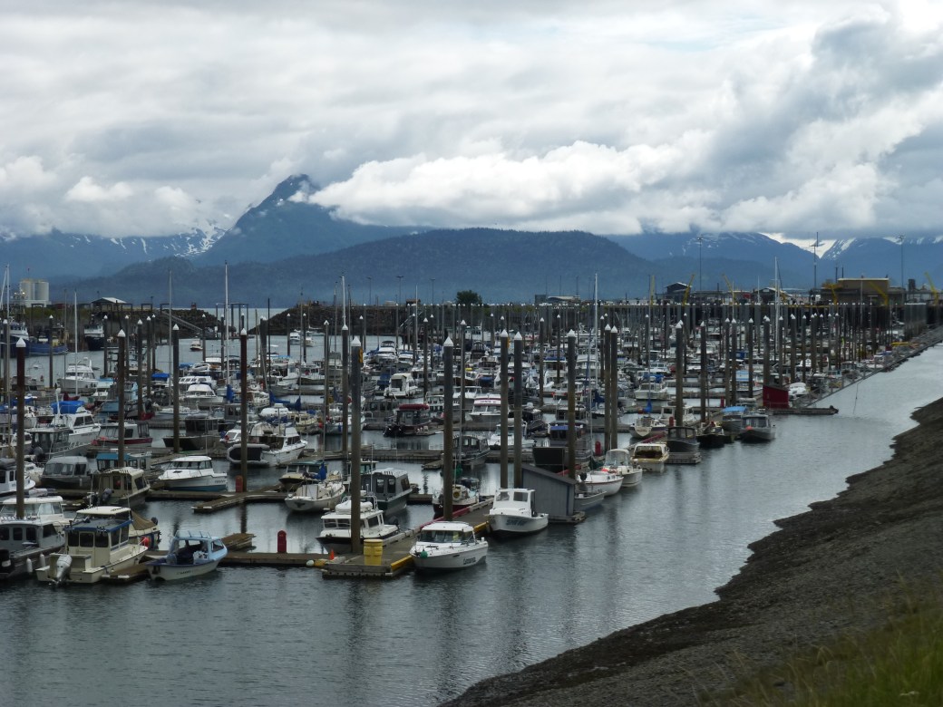 Any of this boat will take you out fishing Homer Spit