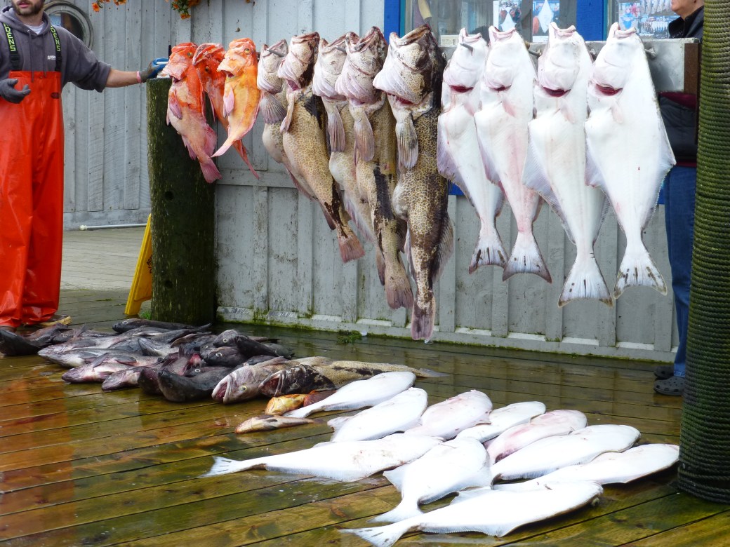 This is only from one charter