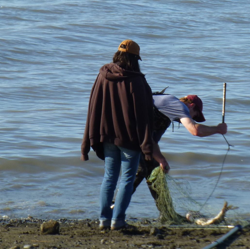 Dip Netting