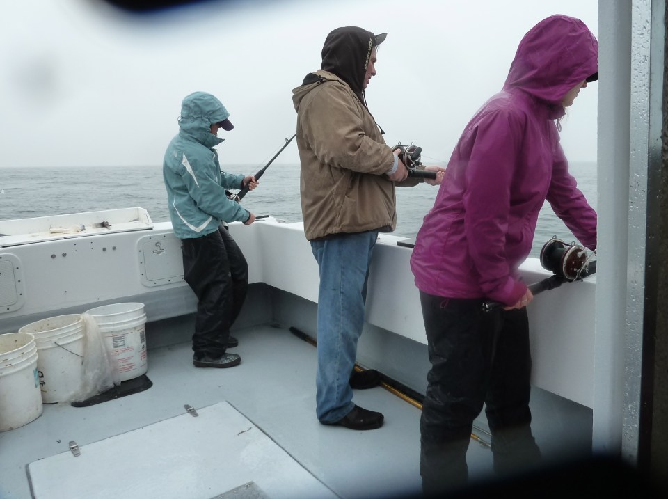 Halibut Fishing, Ninilchik Alaska