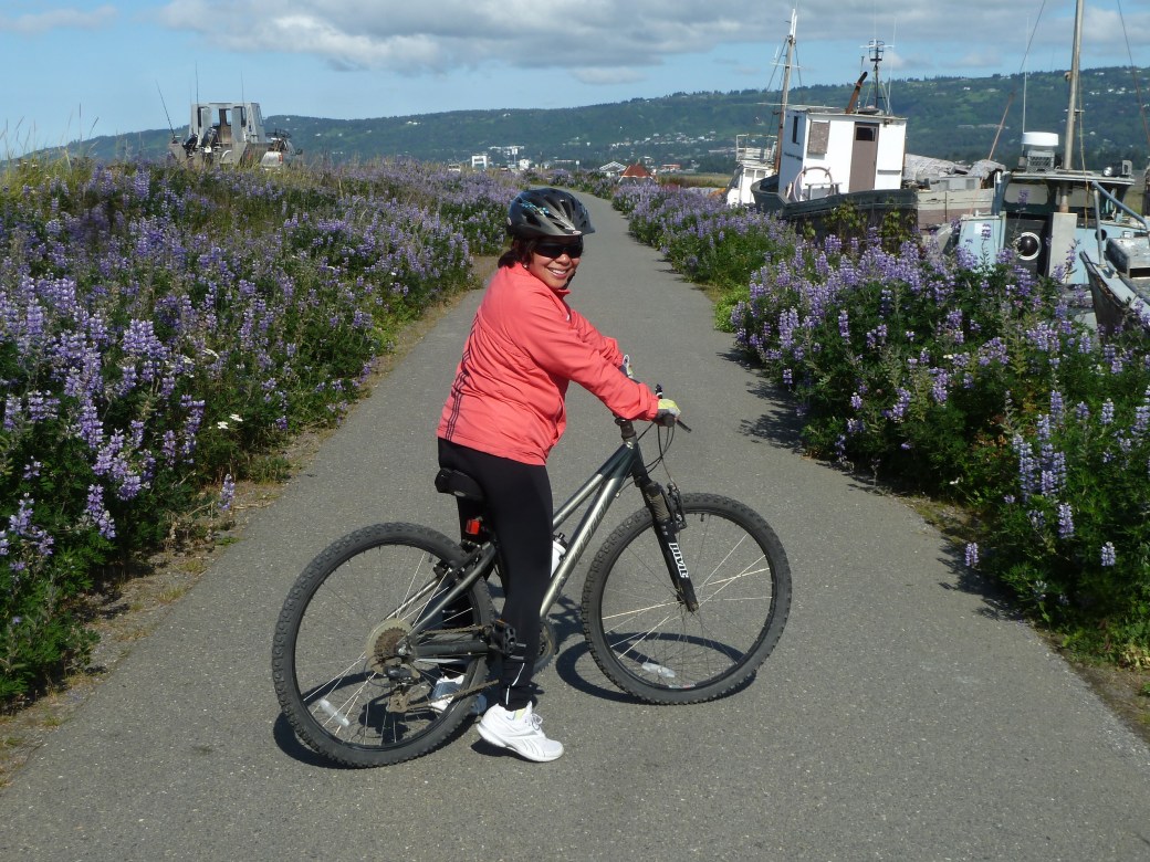 Arctic Lupine adorned the trail