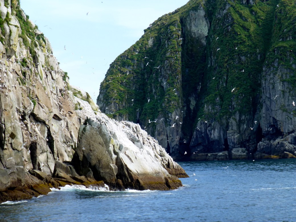 Chiswell Islands