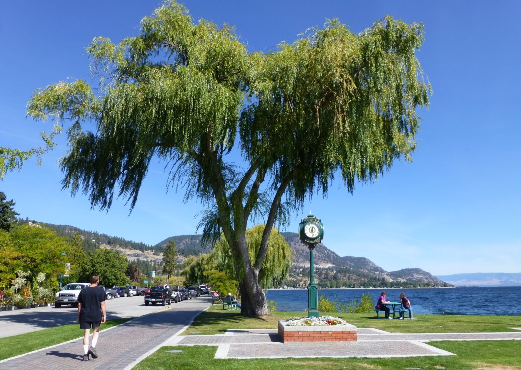 Beach Ave, Peachland