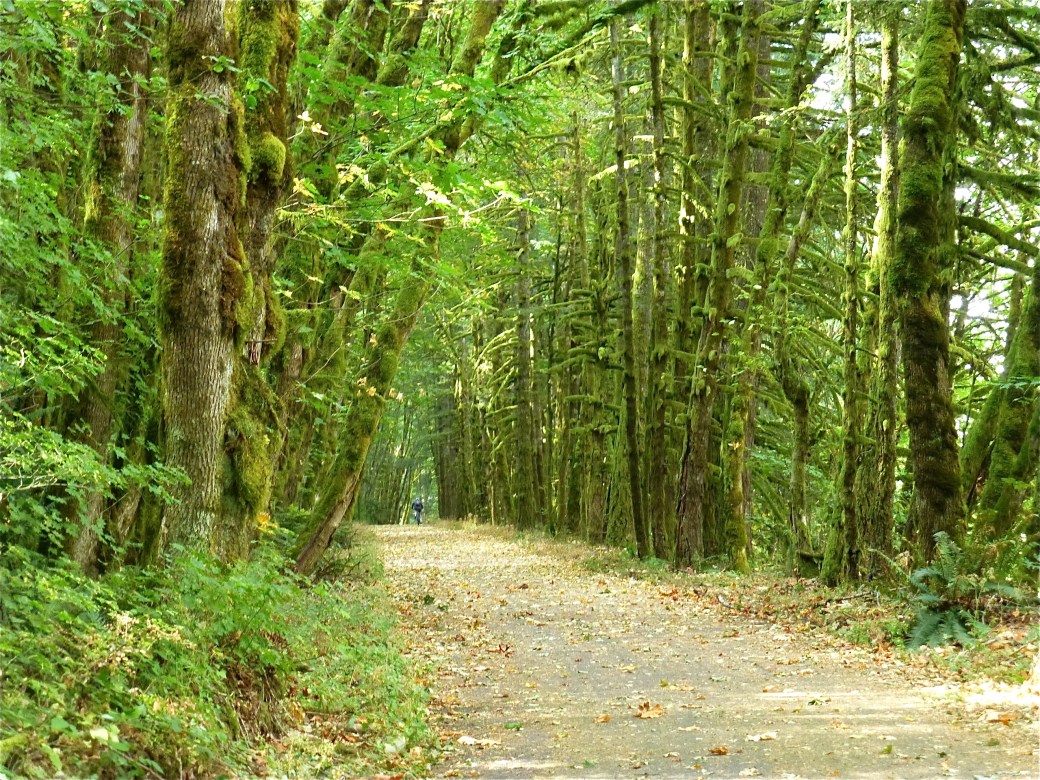 Historic Columbia River State Trail