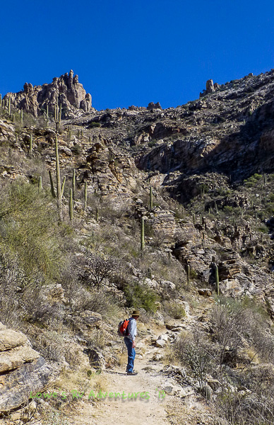Sabino Canyon