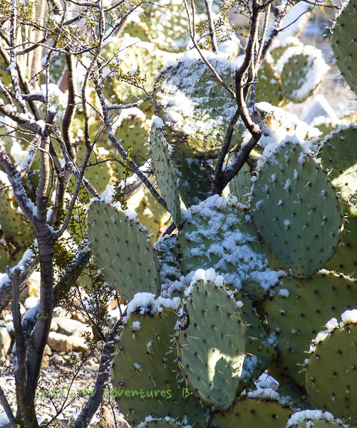 Tombstone, AZ – It’s pretty darn cold here!