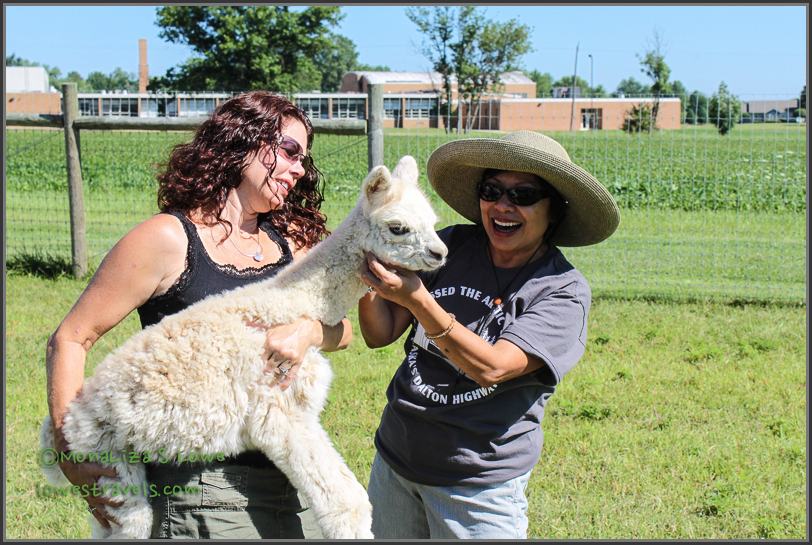 Playing with Alpaca