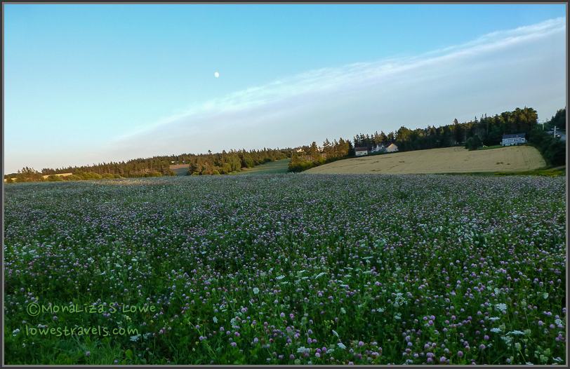 Captivating Prince Edward Island