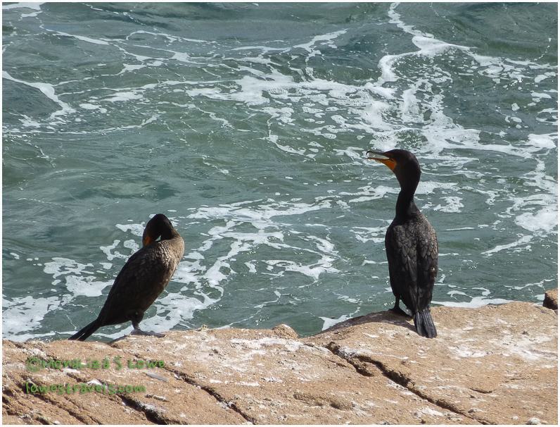The Fabulous Acadia National Park – Maine
