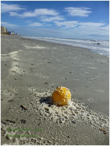 Party time at North Myrtle Beach, SC