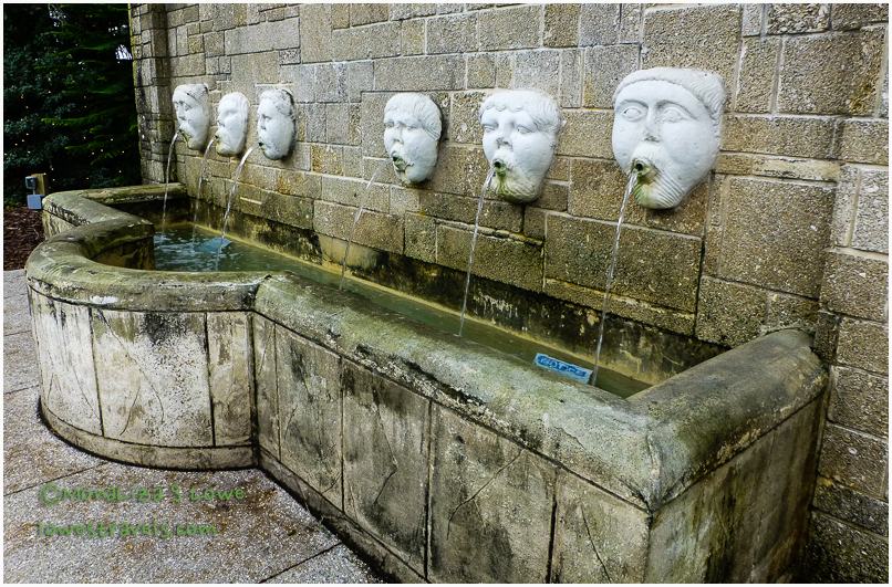 Finally, sunshine in the sunshine state, Florida