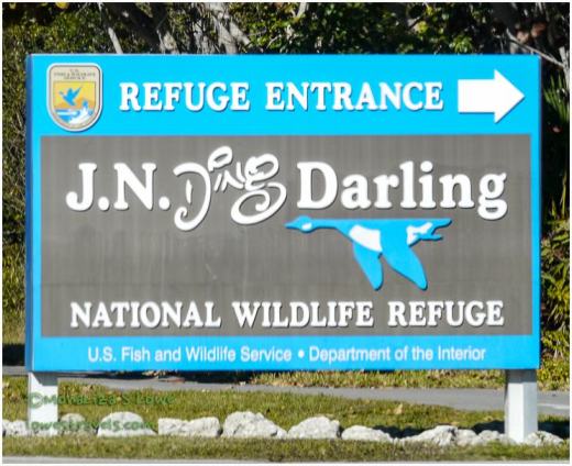 J.N. Ding Darling Refuge