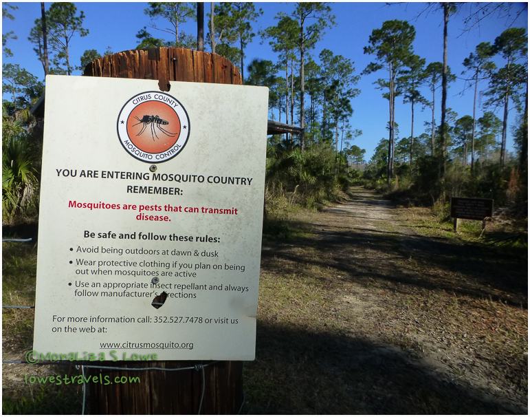 Crystal River Preserve State Park Trail