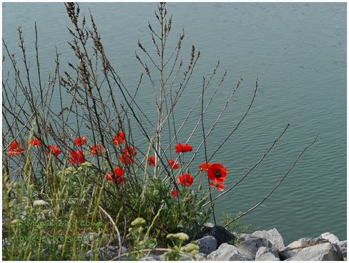 Sightseeing in a Scenic City – Chattanooga, TN